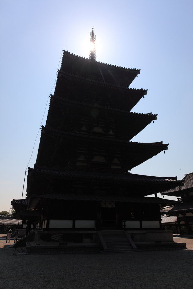 シルエット<br /><br />影を見たら<br />結構近場に先っちょが<br />写っていたので<br />そこから狙ってみました