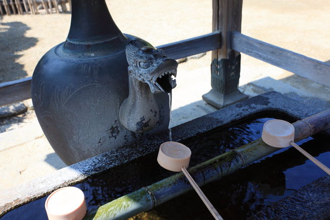 龍<br /><br />ちょっと怖い顔だが<br />今年の干支なので<br />ちょっとラッキーな気分