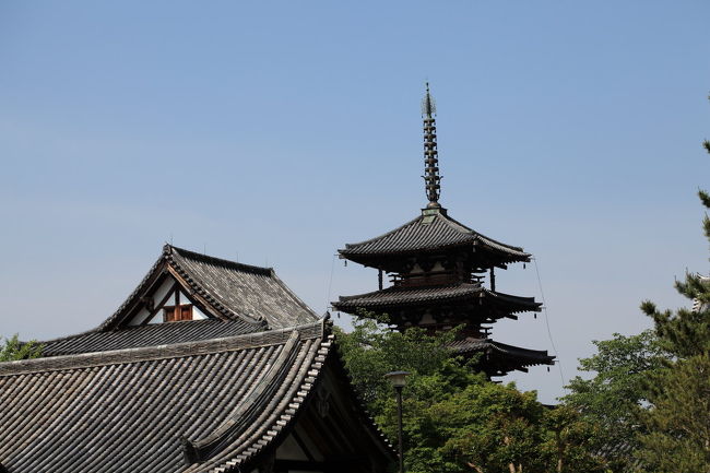 遠くで<br /><br />ガヤガヤと<br />子供の奇声が聞こえてきます<br />相当な数が居そうな気もするが<br />会っちゃうかな？？？