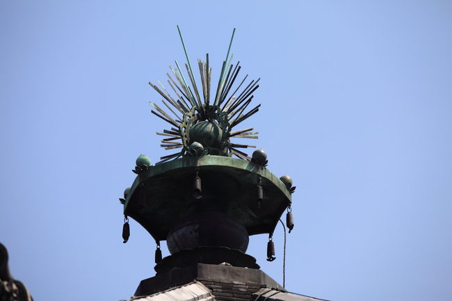 先っちょ<br /><br />目じゃよく見えないので<br />２００ｍｍで撮影＆ＲＡＷでトリミング<br />拡大しても<br />よく分からないかも・・・