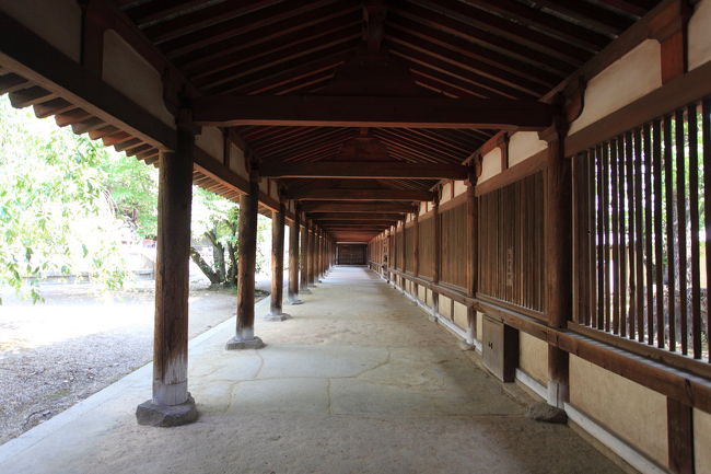 動画<br /><br />自分が動いてみたが<br />やっぱり人物が居ないと<br />自分的には詰まらないですね