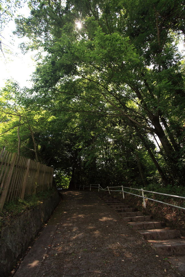 急坂<br /><br />いきなり急坂とは<br />５分と言われたが<br />ちょっとキツイですね