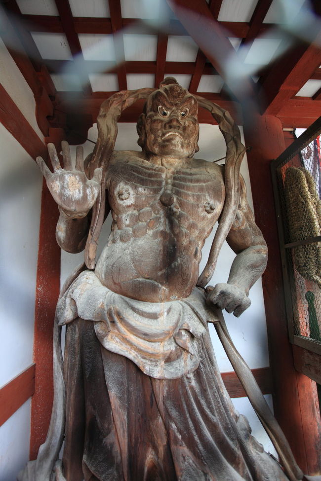 ん<br /><br />ある意味<br />愛嬌のある表情ですね