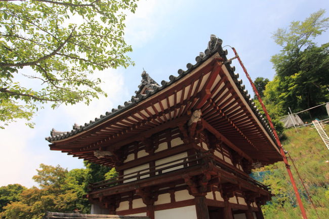 中から<br /><br />くぐって気づいたが<br />何やら動物が彫られているではないか