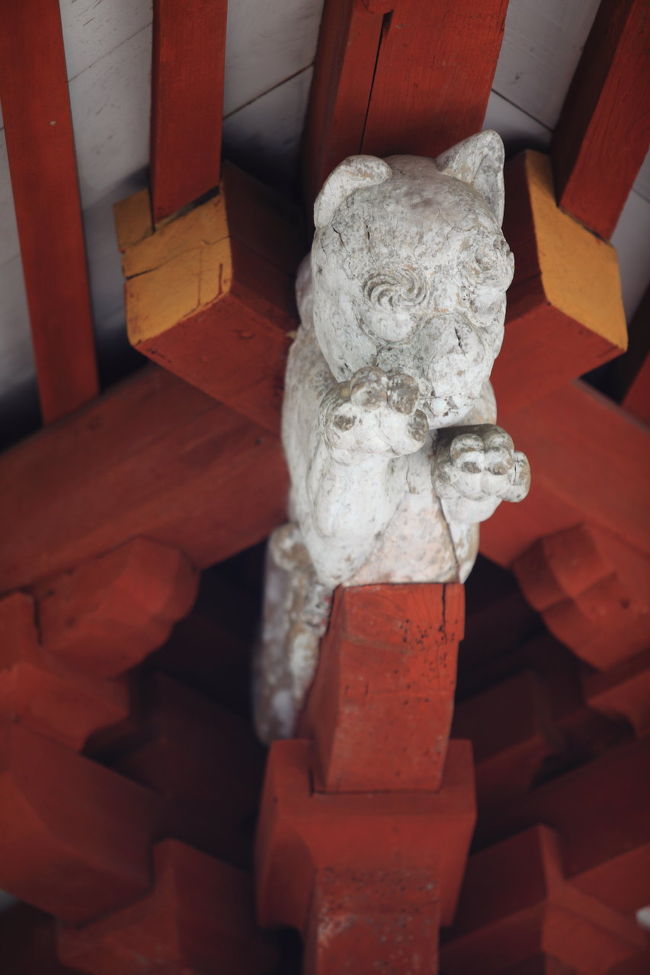 虎<br /><br />猫に見えちゃうが<br />きっと虎だよね