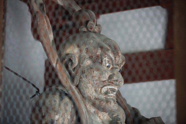 アップ<br /><br />やっぱり<br />怖い顔ですね