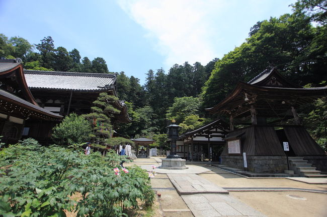 結構広い<br /><br />お金を払ったから<br />しっかり見なくては・・・