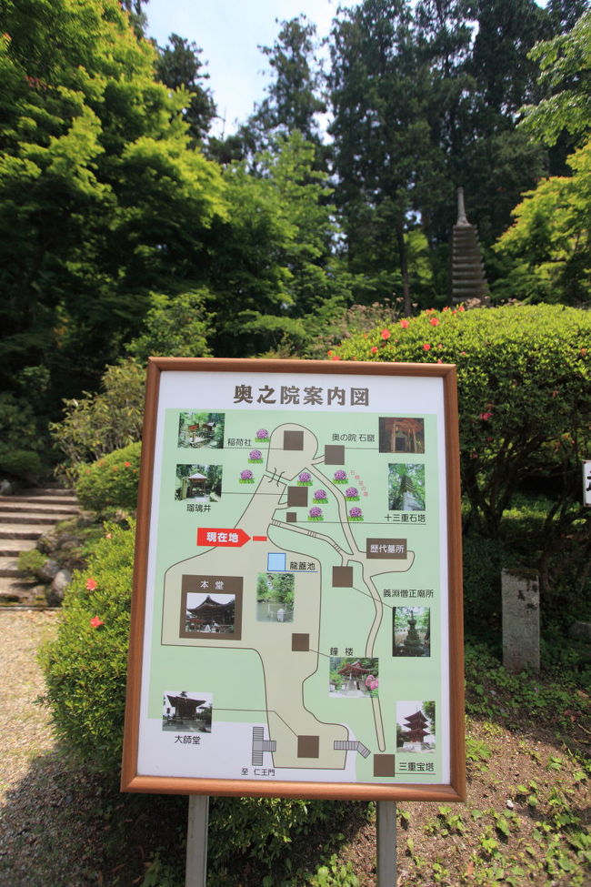 お散歩<br /><br />太陽がサンサンで<br />回らずにパス予定でしたが<br />奥の方からウグイスが<br />良い声で鳴いていたので<br />ふらふらと行ってきます