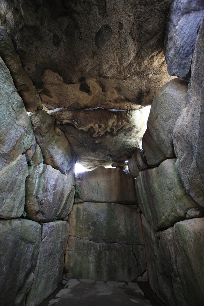 内部<br /><br />涼しいので<br />くつろいでいたら<br />子供の声が近づいてきて<br />中で遭遇したが<br />別の学校でした<br />（ちょっとドッキリ）