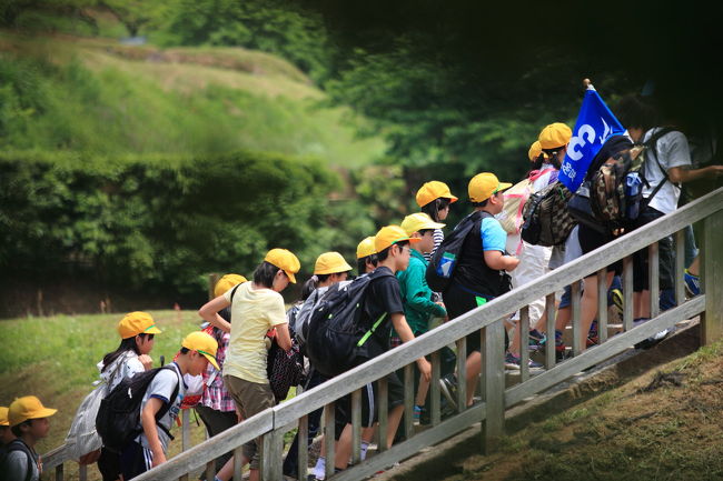 大失敗<br /><br />なんと出口手前で<br />見覚えのある軍団が入ってきました<br />すっと木の陰に隠れ<br />望遠レンズに交換していたら<br />自分が隠れている向こう側では<br />男の先生が生徒を呼び<br />記念撮影まで始まりました<br /><br />記念撮影中の子供と<br />完全に目が合ったと思いましたが<br />ルカの話では<br />だれも気がつかなかったみたいだが<br />呆れてだれも相手しなかったのかも・・・