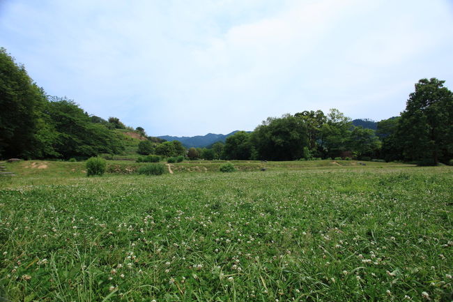 お散歩<br /><br />気になった広場を探索ですが<br />遊びには広くてよい感じ<br />でも<br />変なおじさん一人では<br />やることが無いですね・・・