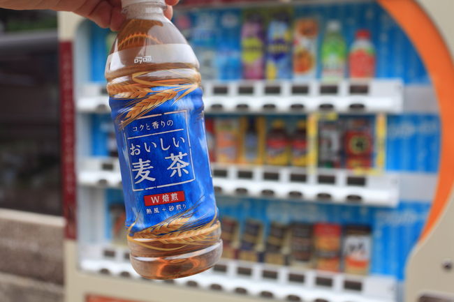 お茶<br /><br />そんなに歩く予定ではなかったが<br />この先は山道なので<br />万が一に備えてお茶を購入