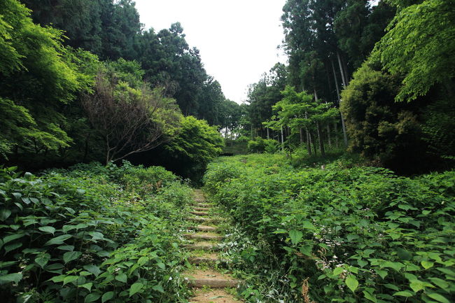 きつい<br /><br />一人で歩くので<br />やばそうなら<br />引き返そうかと思ったが<br />きちんと整備されていますね<br />地図には<br />見晴台と書かれているが<br />そんな場所があるのかな？