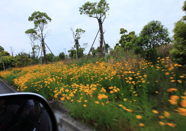 長島ＰＡ<br /><br />ルカの行動表では<br />１６時に到着とあるが<br />３０分以上前に着いてしまいました<br />それほど飛ばした覚えは無いが<br />バスはどこで抜かしたのかな？？？