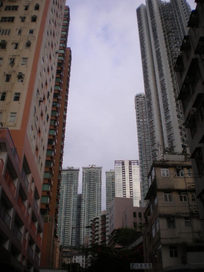 大坑を象徴する景色といえば、高層フラットが上空を占める景色。浣紗街の突き当たり方向も同じでした。