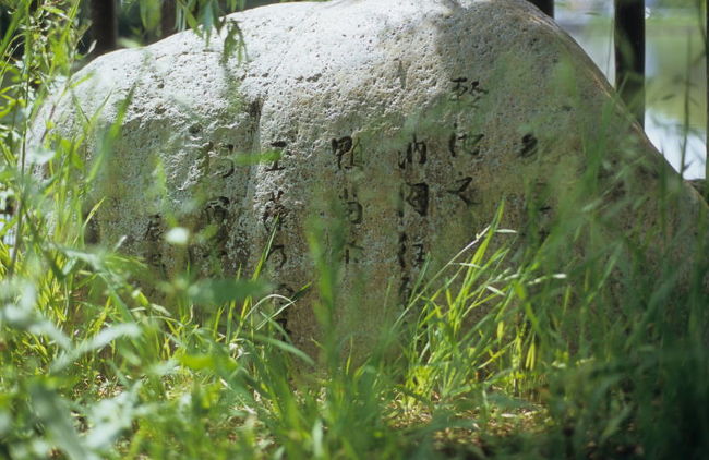 池の畔に万葉歌碑がありました。飛鳥は至るところ万葉集の舞台ですね。<br /><br />軽の池の浦み行き廻る鴨すらに玉藻のうへにひとり寝なくに　紀皇女