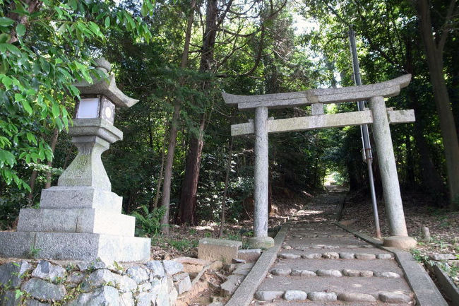 まず訪ねたのは素戔嗚命神社。石川池の南にある住宅地の中にありました。小さな神社ですが、古事記編纂１３００年の今年、それっぽい名前のところはとりあえず押さえとこうと。<br />鳥居越しに上を見ると、石段に映る濃い樹影がいい雰囲気。<br />