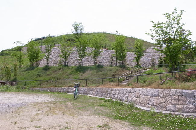 つづいて、素戔嗚命神社のすぐ近くにある植山古墳へ。<br />ここ、去年も行ったのですが整備中で入れなかったのです。今回はどうだろう？<br />古墳の下の空き地に自転車をとめて、公園風に整備された周囲の階段を上ってみました。今回は入れる範囲が広がっているようでしたが・・・