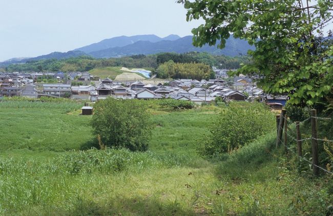 振り返ると、さっき行った植山古墳が見えました。