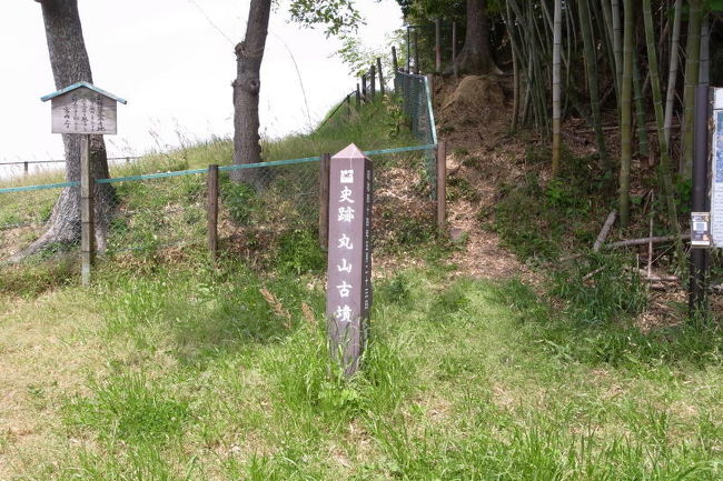 一旦登り切ったところは後円部で、ここだけ樹木が生い茂っています。後円部は宮内庁の陵墓参考地とのことで、これ以上入ることができません。