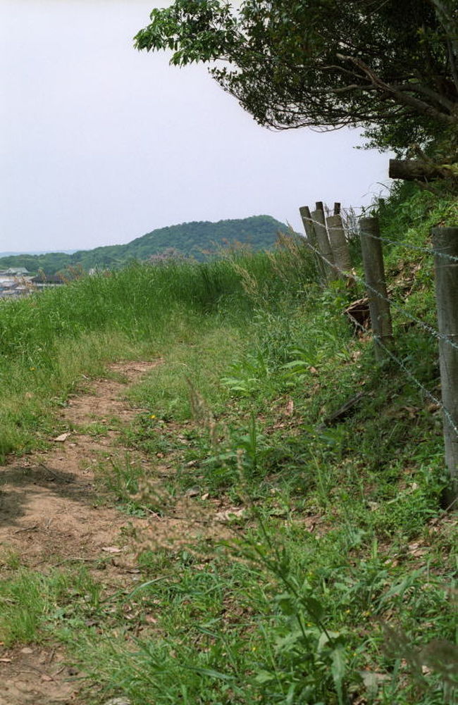 ということで、西側の前方部を目指します。進むにつれて、正面に畝傍山が見えてきました。