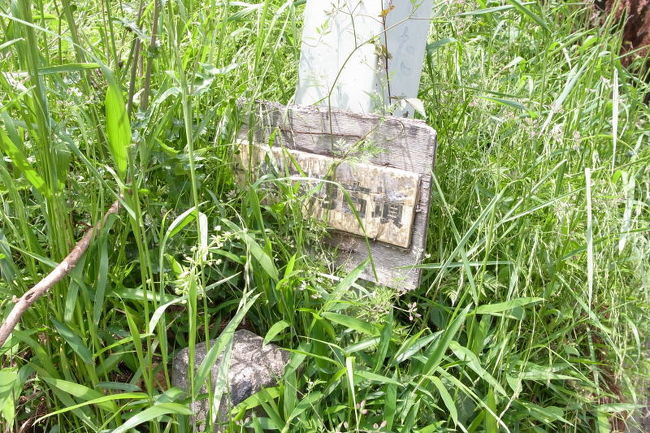 さて、近くにもうひとつ、菖蒲池古墳という有名な古墳があるということで行ってみました。<br />何となく大きな前方後円墳を想像していましたが、全くそうではなくて、見てすぐ古墳とわかるような場所ではありませんでした。<br />しかも入口の表示はかなり地味（笑）