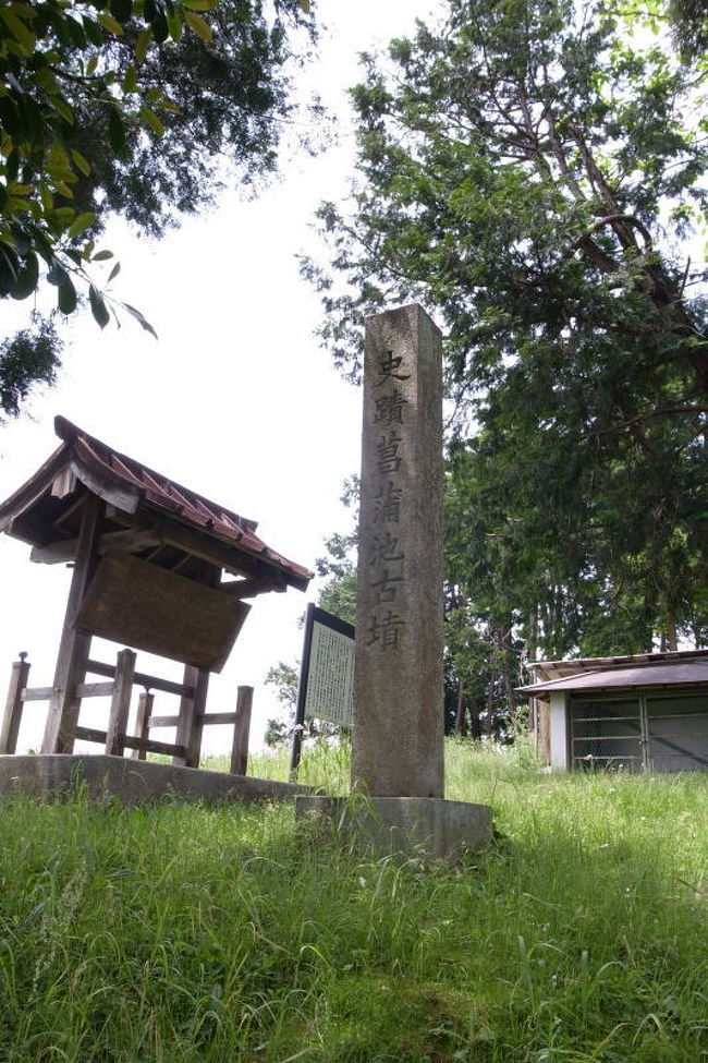 林の中を歩いて行った先に、石室の簡単な覆い屋と解説板が建てられた場所がありました。古墳っぽい土の盛り上がりはわかりません。