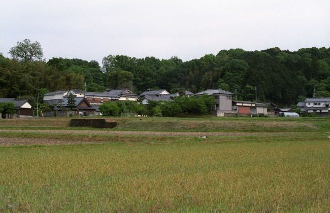 香具山の北には大和棟の美しい集落がありました。