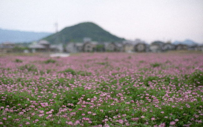 畝傍山をバックに。