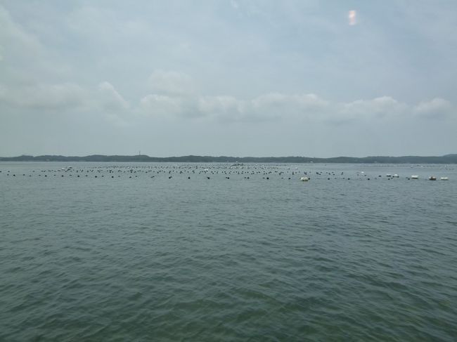 湾内は波も穏やかです。