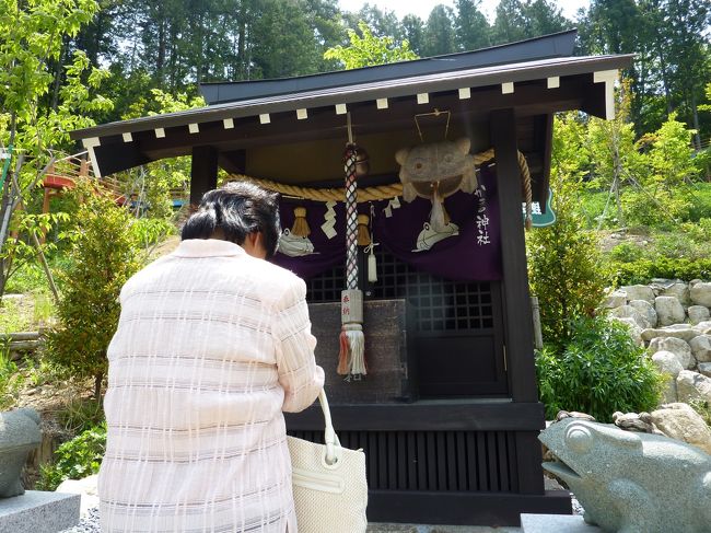 何をお願いしてるんでしょ〜