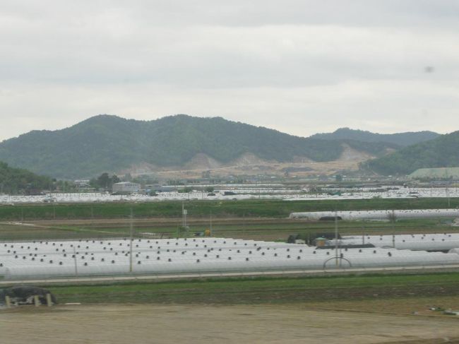 そんなわけで、のどかな風景を眺めつつ、<br />スマホでネットを楽しんでいたら、あっという間に･･･