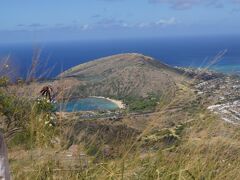 この絶景！！！！！
この視界！！！！！
この場に立たないと感じられない感動
ハナウマ湾方面
正面がココヘッドトレイル。事前の調査ではどっちが山か解りずらかった。