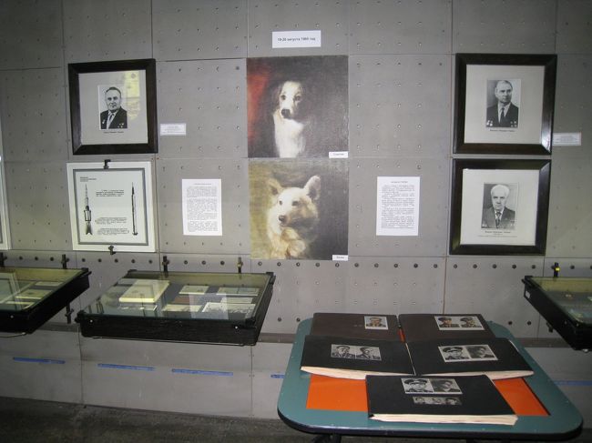 多分、宇宙に連れて行かれた犬たち。