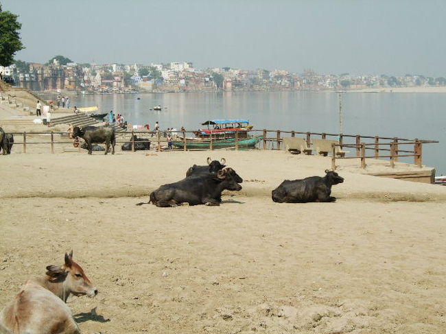 明くる日の昼間。