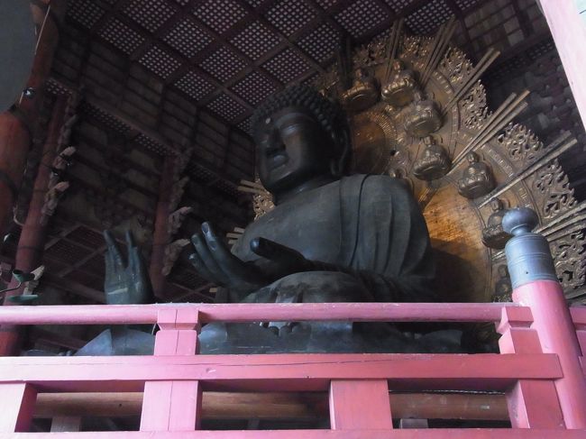 あくまで、コンパクト・デジ・カメでの撮影にしては、よく写るということ。