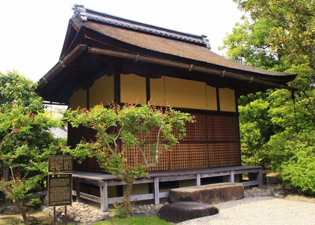 奈良県・奈良市2012春（その１／２）★名勝庭園・依水園を散策