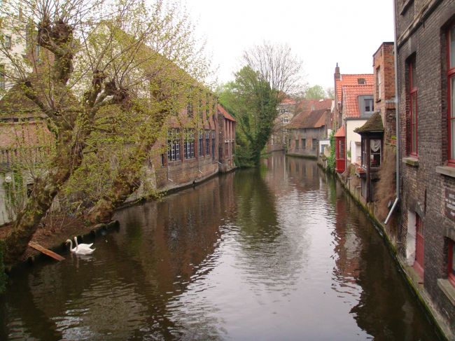 ブルーブルージュジュ