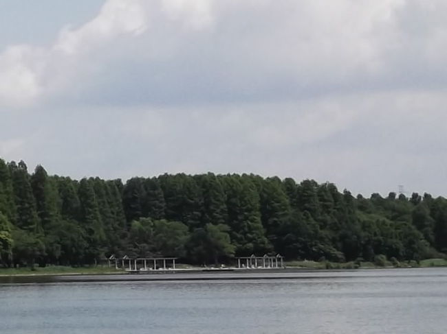 水元公園のバードサンクチュアリー 亀有 柴又 東京 の旅行記 ブログ By サンダル さん フォートラベル 水元公園のバードサンクチュアリー 亀有 柴又 東京 の旅行記 ブログ By サンダル さん フォートラベル