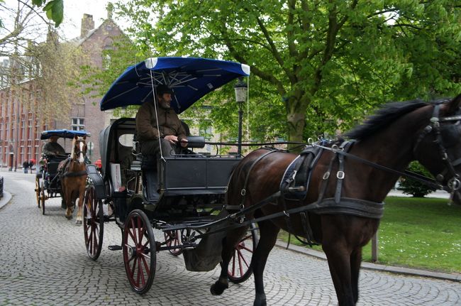 ワインガールト広場