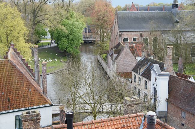 ビール醸造所(De Halve Maan)の屋上から<br />ベギン会修道院(北側)