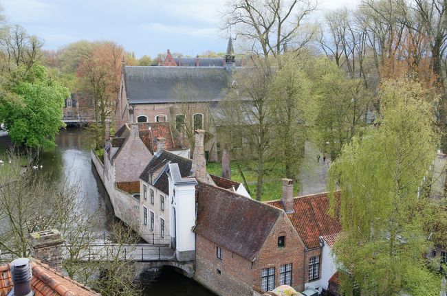 ビール醸造所(De Halve Maan)の屋上から<br />ベギン会修道院(北側)