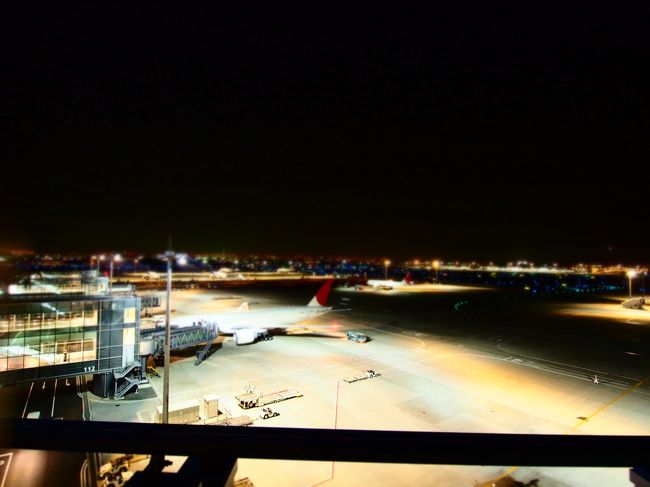 夜の羽田空港には始めてきた。<br />いい雰囲気ね。