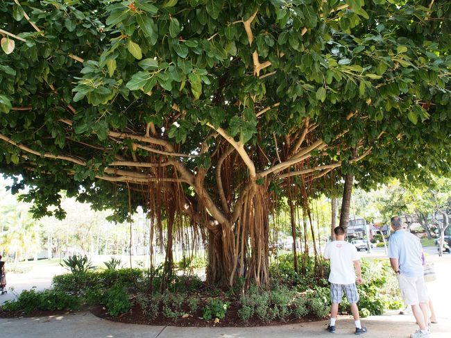 はやおきしてアラモアナショッピングセンターまで散歩<br />結婚式の前に友達とあうので。