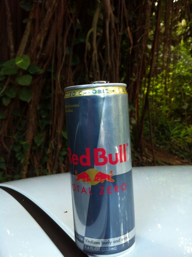 今日は登山日。レッドブルのんで気合いれる。