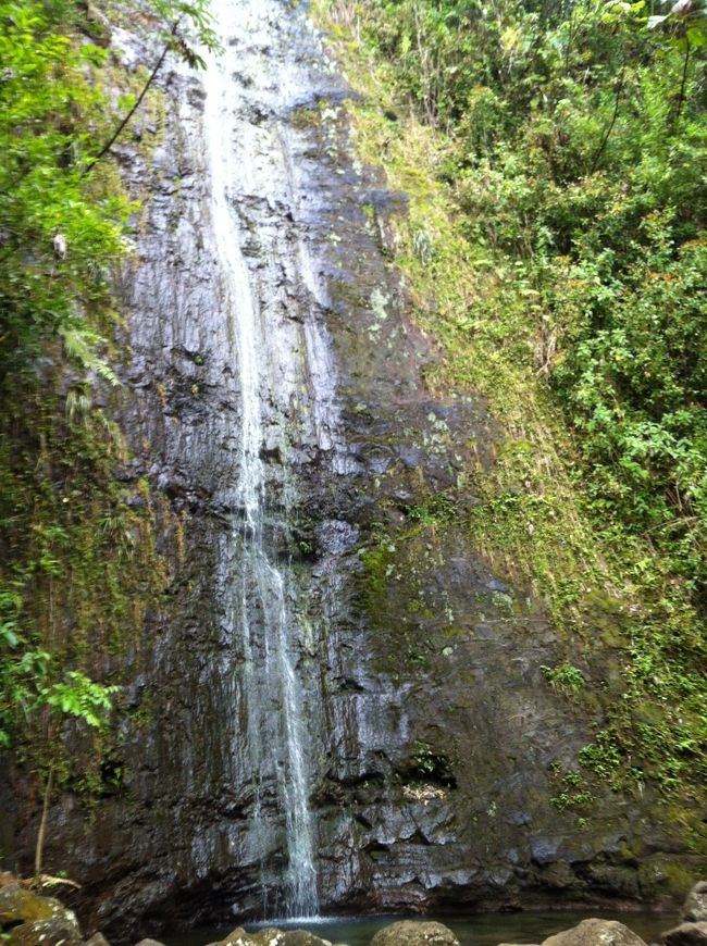 Manoa Falls<br />