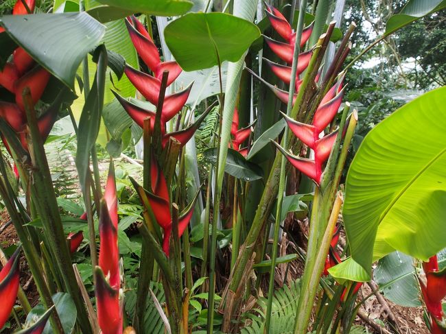 当然ながら植生が全然違う