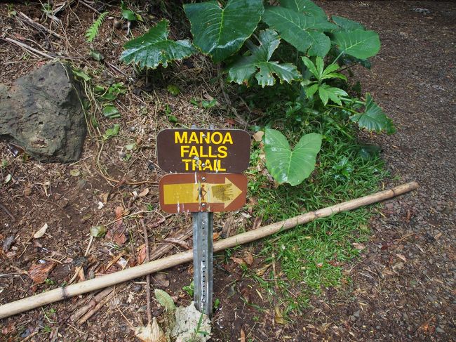 Manoa Falls Trail