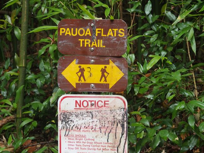 Aihualama Trailのどんつきまでいくと、Pauoa Flasts Trail。<br />右に向かえば稜線にでます。<br />