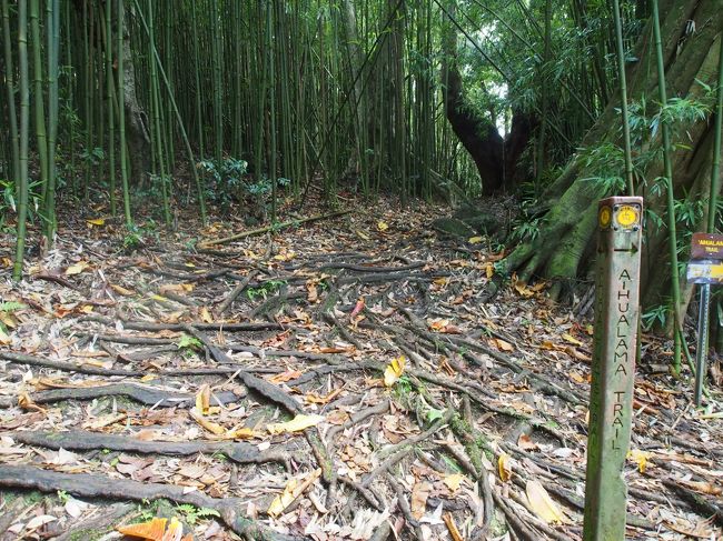 その名の通りとってもなだらか